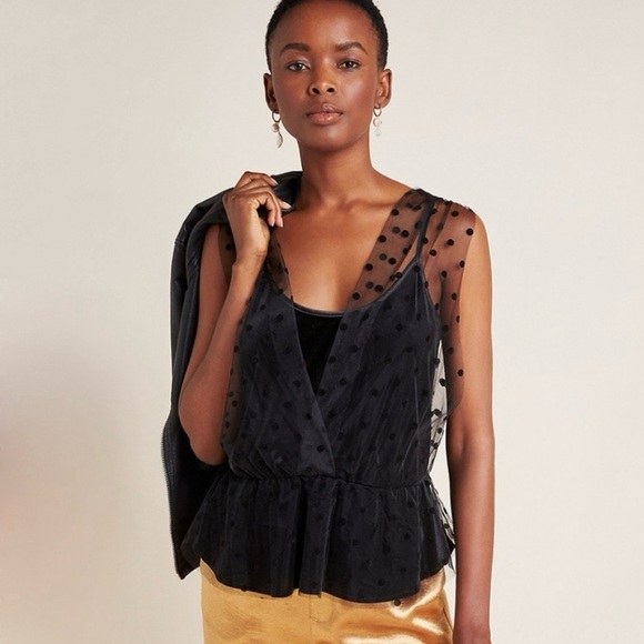 Eva Franco Anthropologie Sheer Dotted Velvet Top NWT Size Medium - Picture 6 of 6